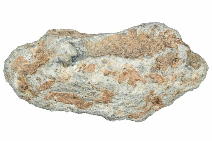 Lunar Meteorite Fragment ( g) - NWA #304058